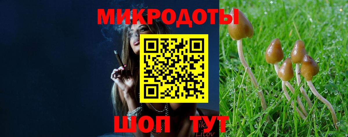 Галлюциногенные грибы ЛСД Алейск